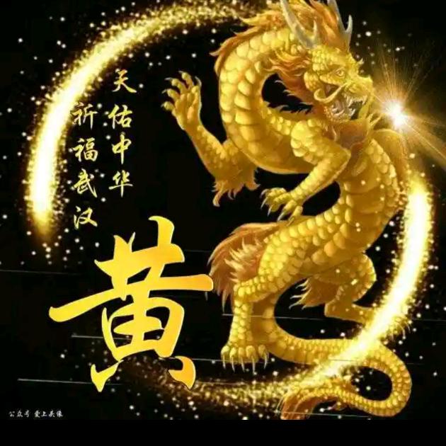 🐉天涯独行客🐉