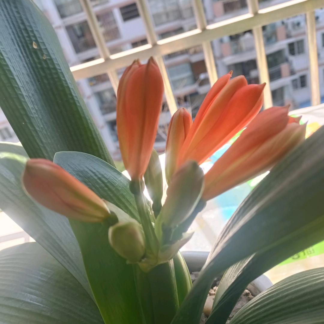 亿路🌾向钱💥