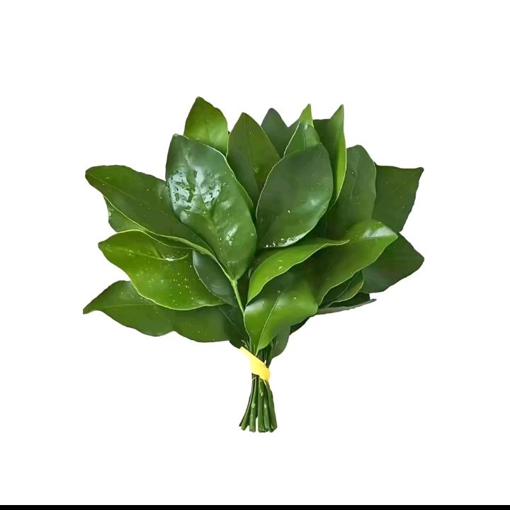小林