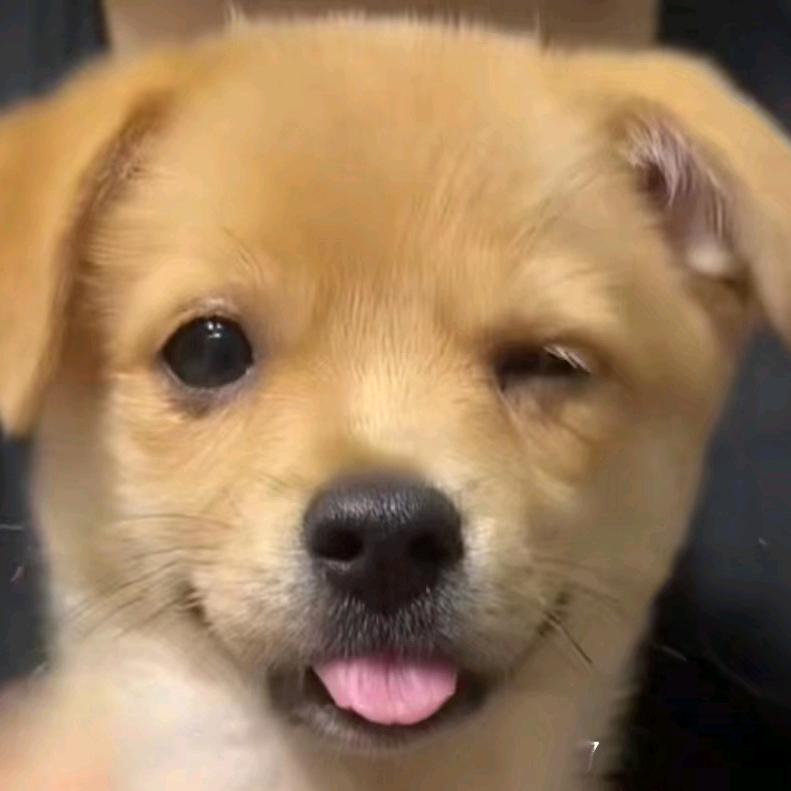 解行
