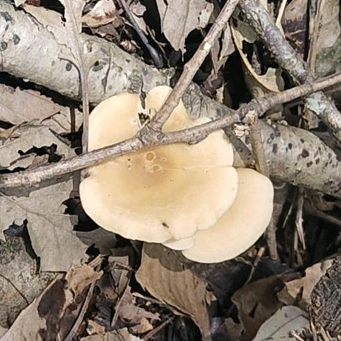 牵. ❤❤挂✔️