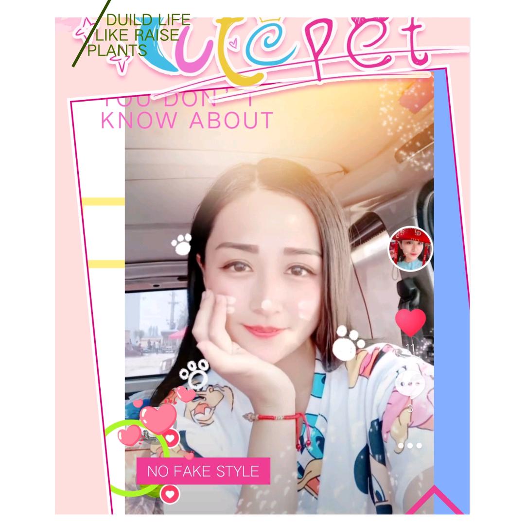 齐氏精品唢呐哨片