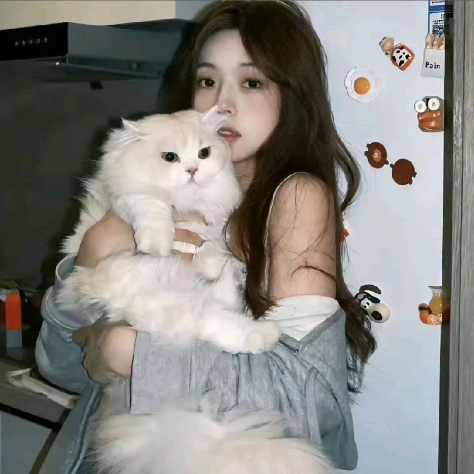 小宝酸菜鱼