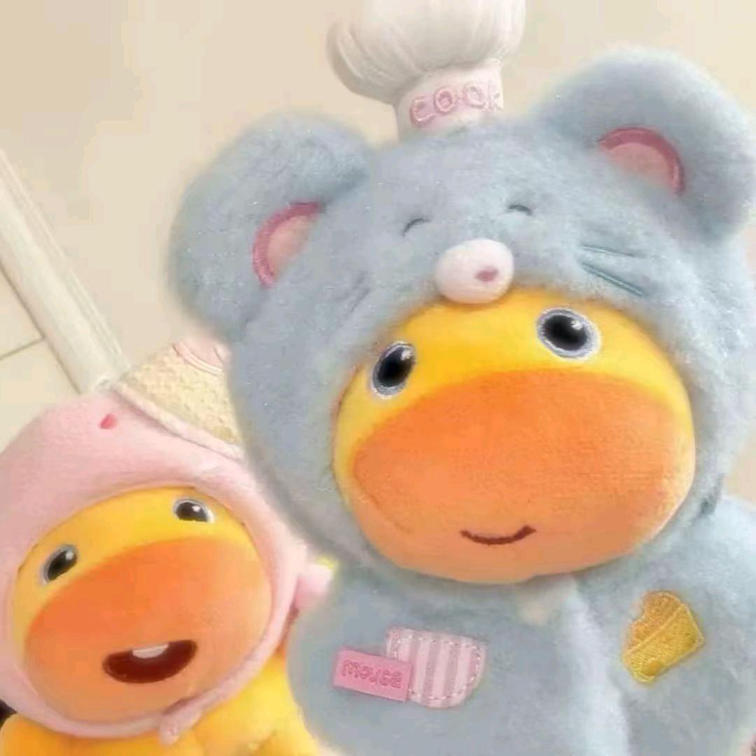 Š