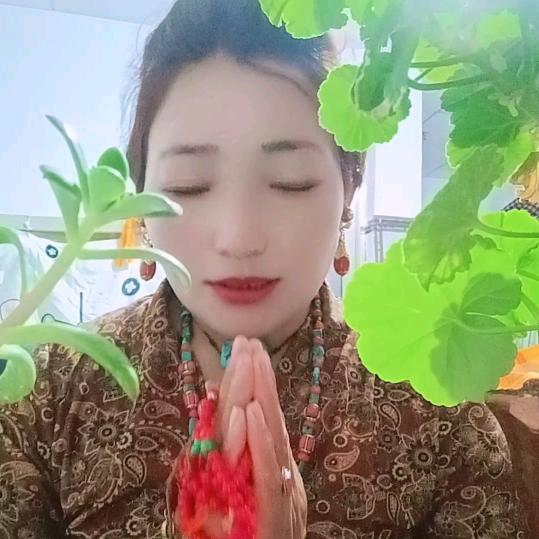 人生如梦令👀
