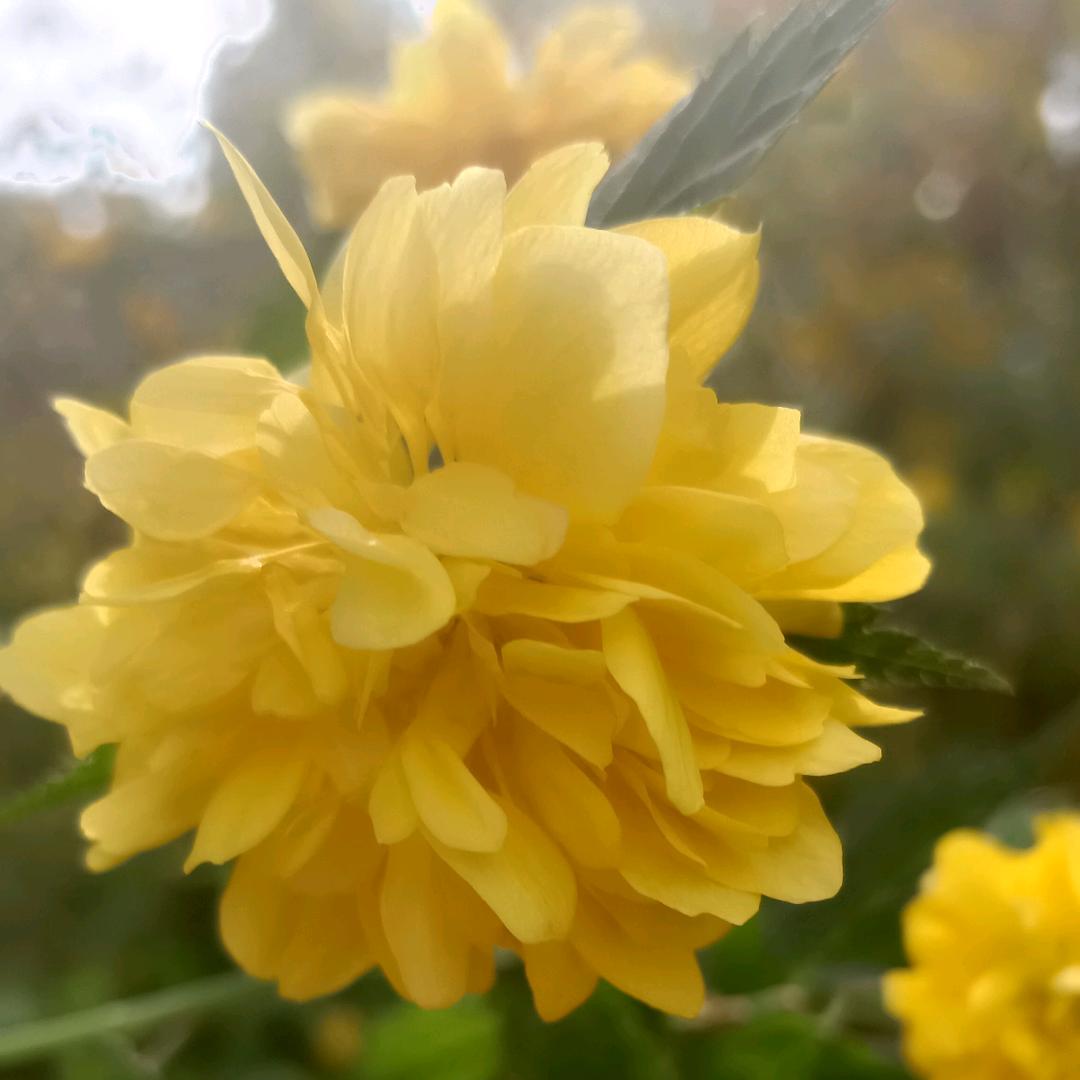 微笑生活_254512527