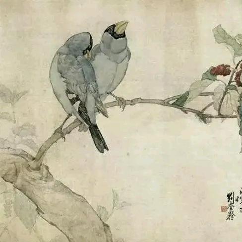 桑扈（封建迷信版）