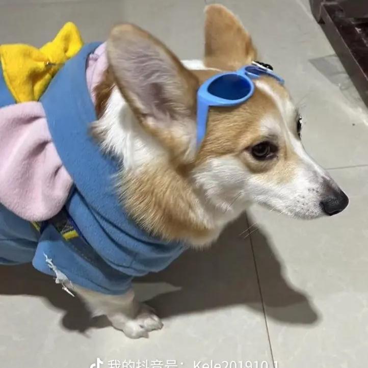 不吃肥又🎵