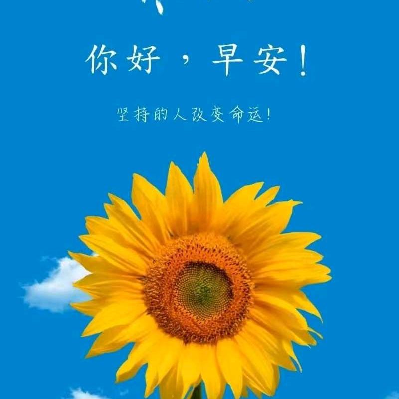 慧月明心