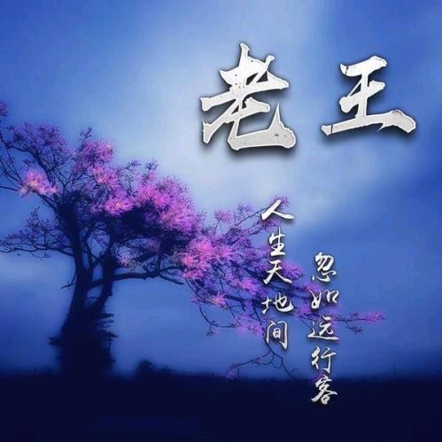 博望姜村专业加工鸡蛋糕