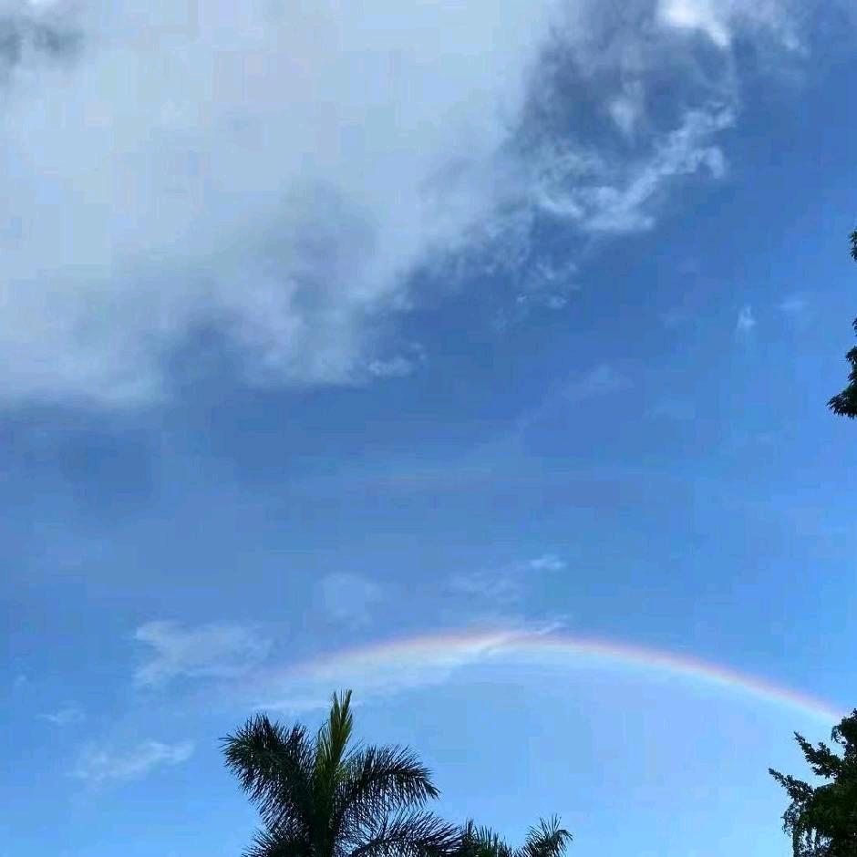 小李、麻椒鸡 衢州鸭头