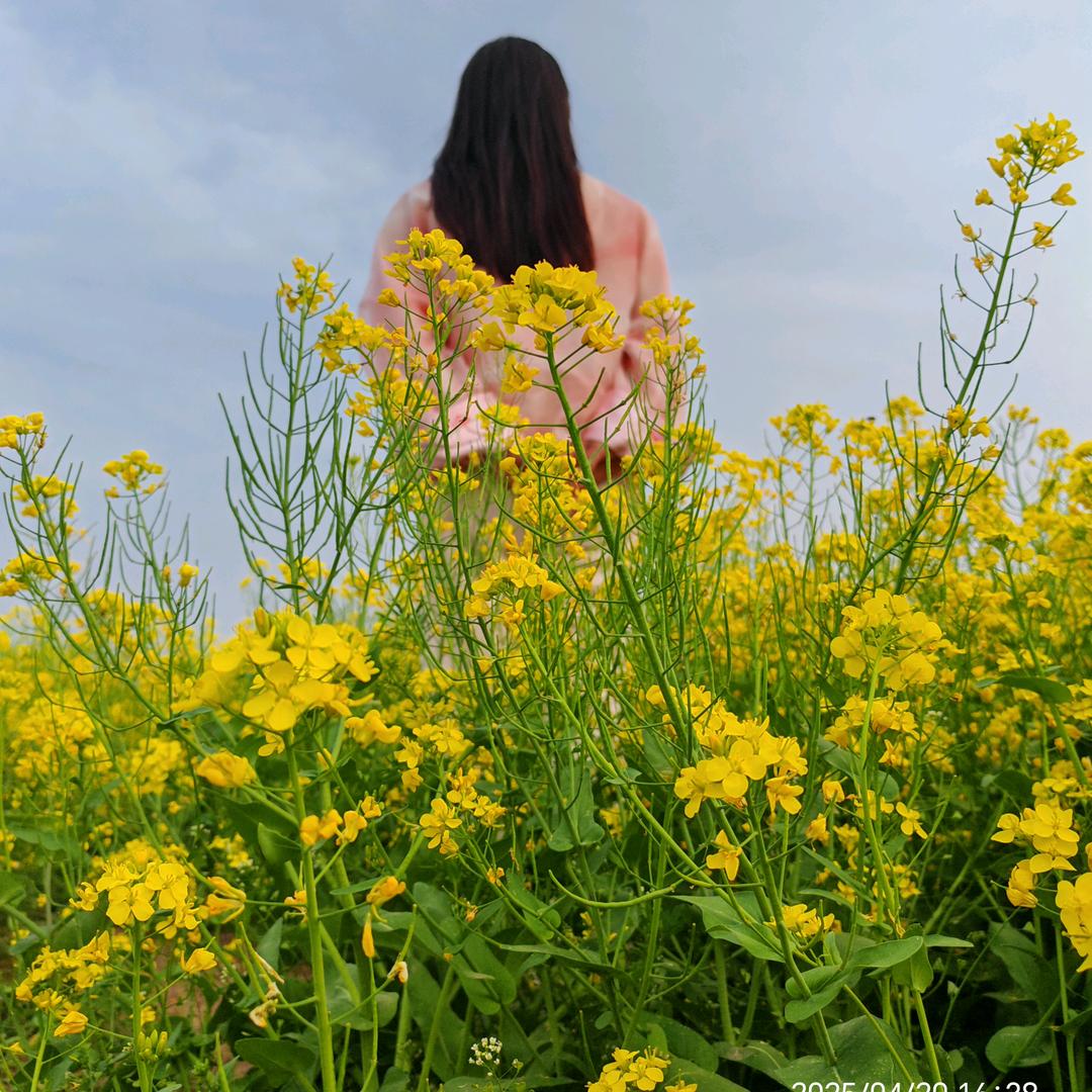 雅濛