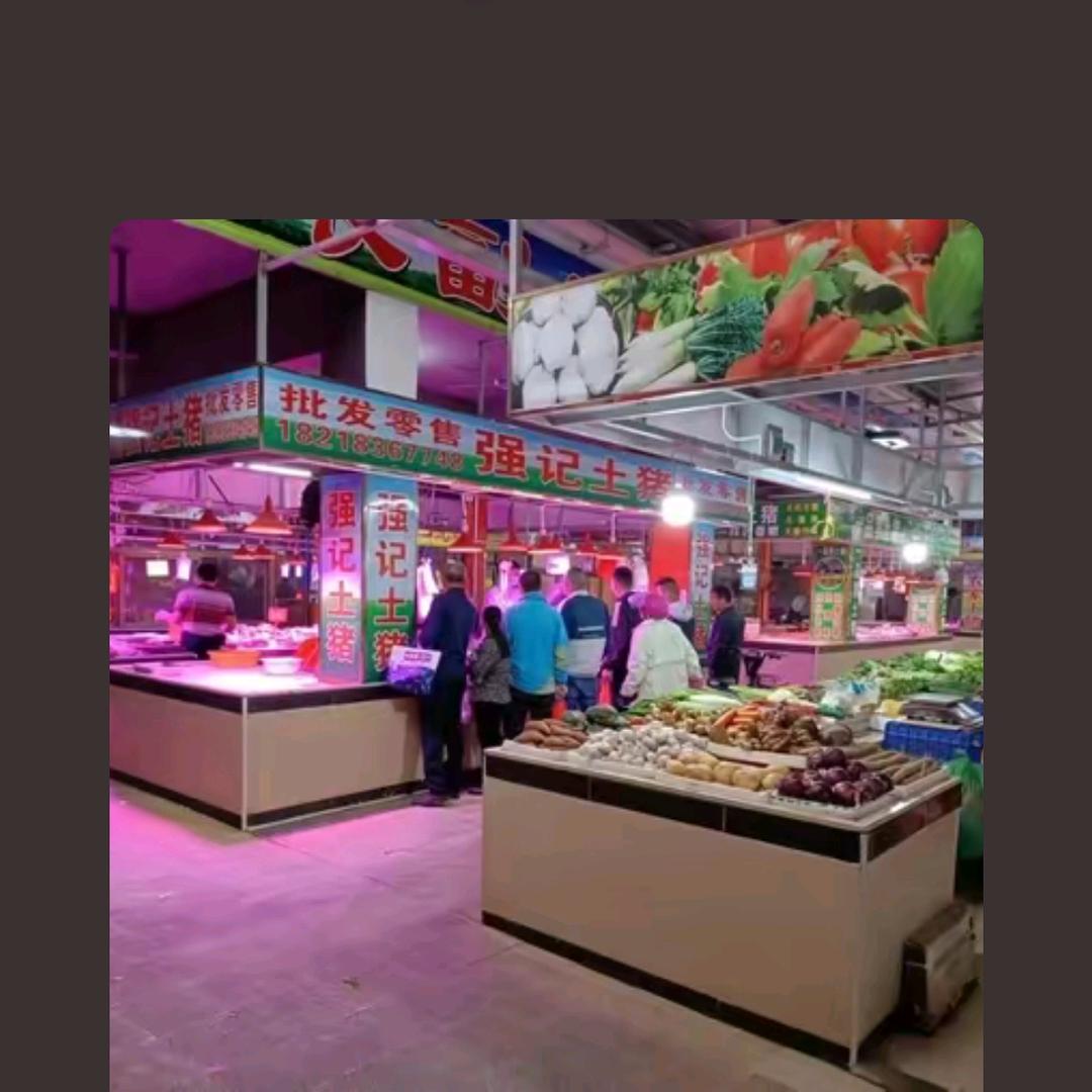 强记土猪批发零售