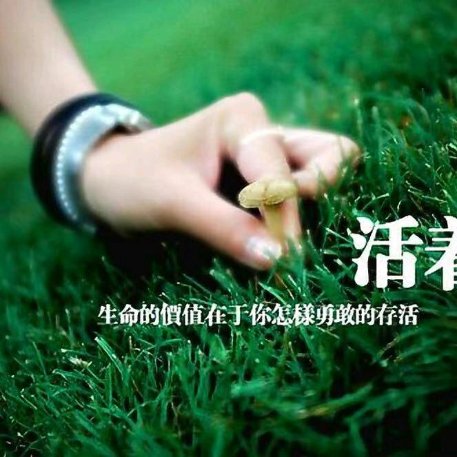 💦半颗心💤️