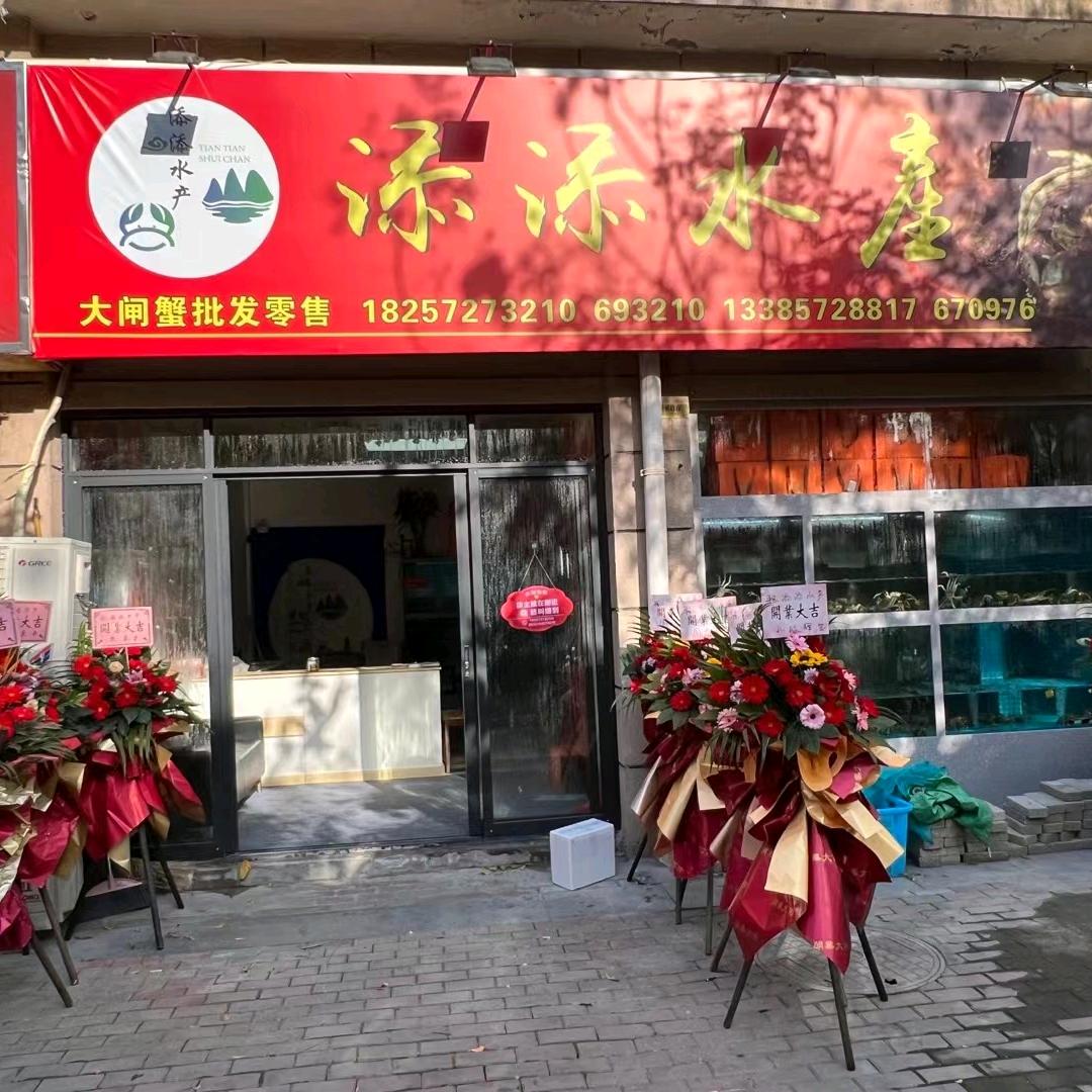 埭溪龙龙