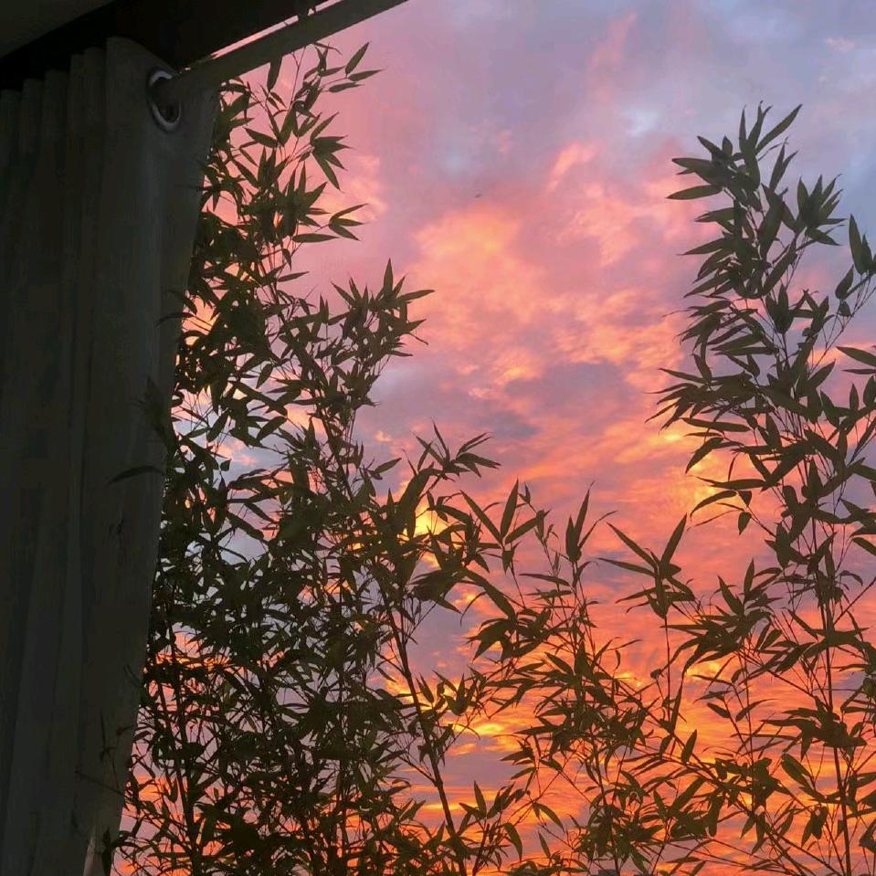 小Y睡不着