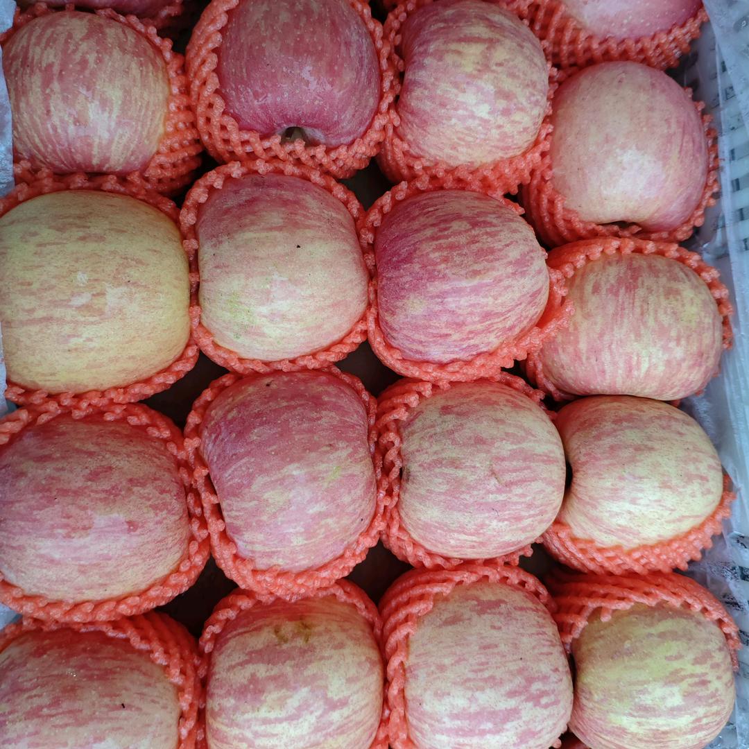晏塘小石水果