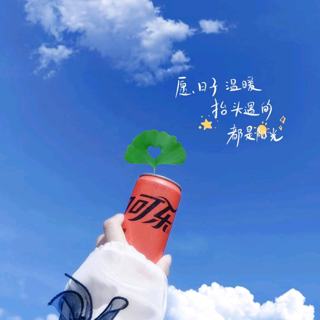 皮蛋总