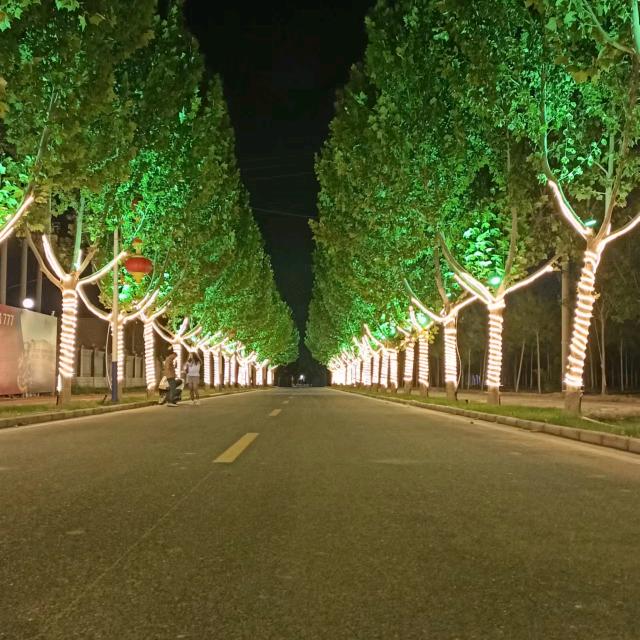 🌹💕回忆💕🌹huí yì