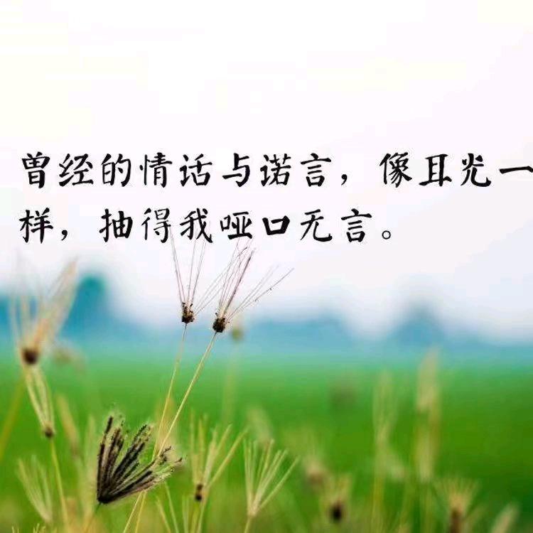 风向决定发型