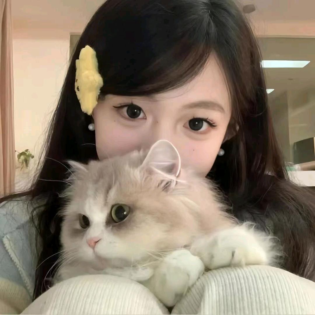 Runt好物推荐