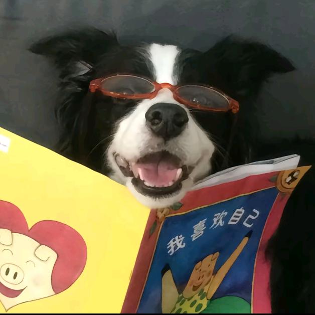 林逢数