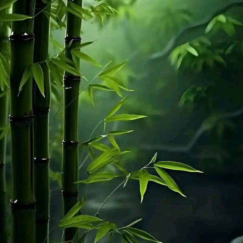 香悦阁