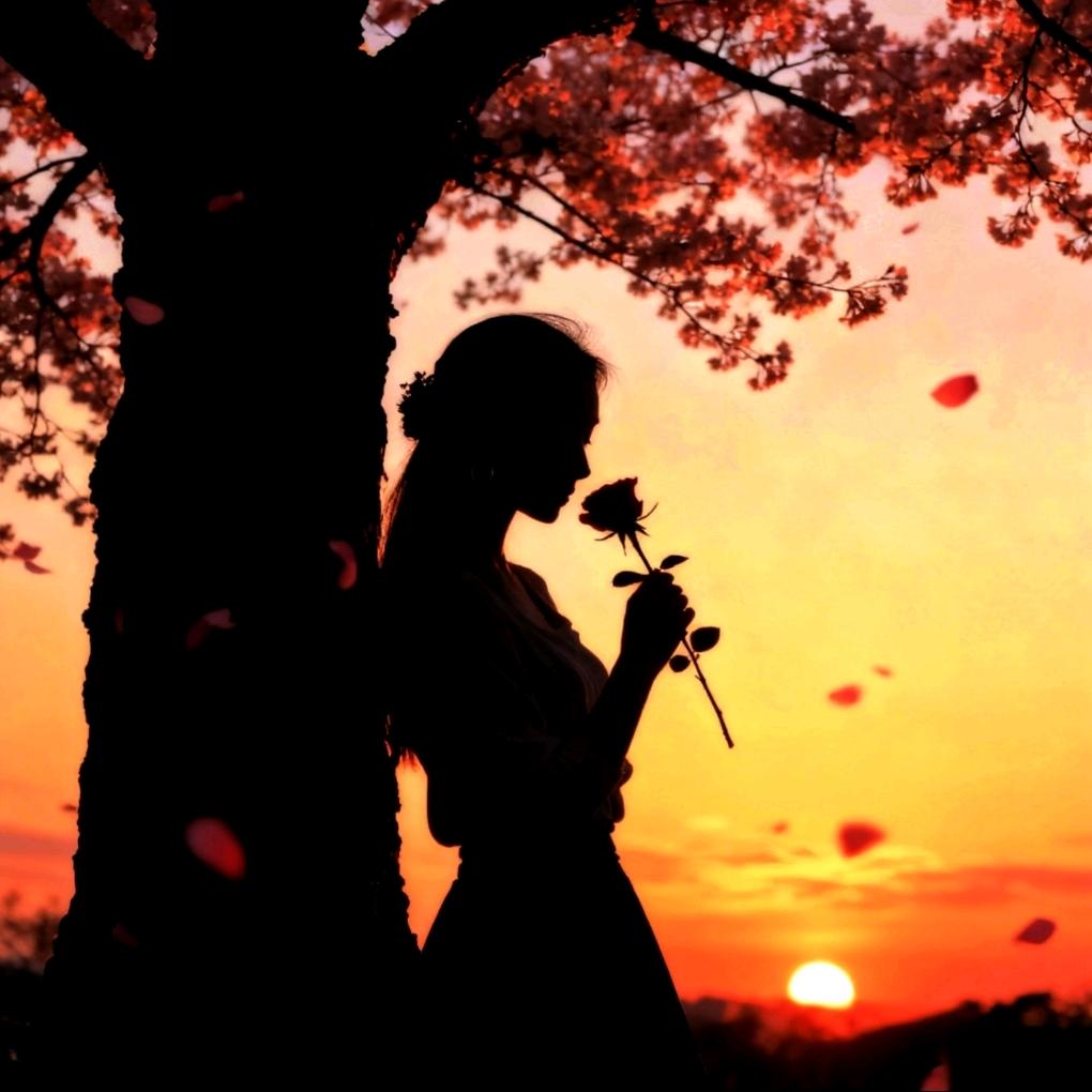 🎧莓有烦恼🌸