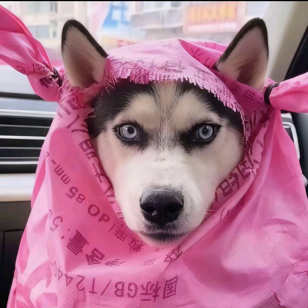 上官瑜姿