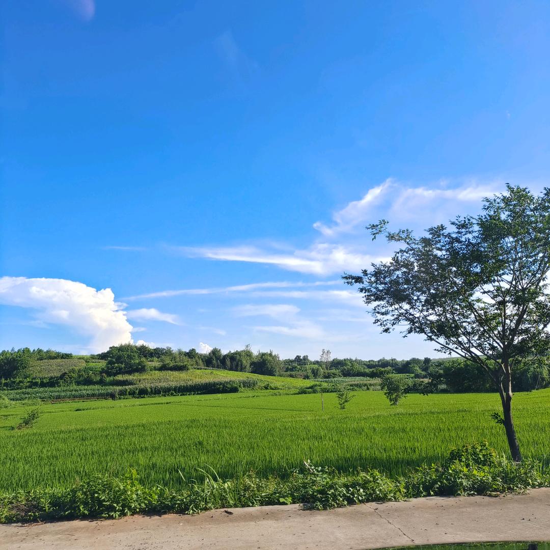 设计师@海风🇮🇹欧铂丽