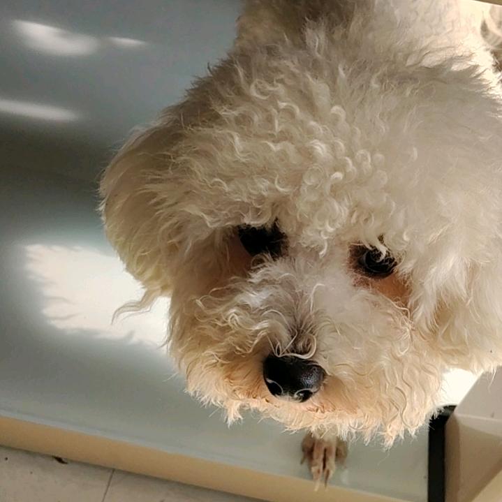 摆摆手
