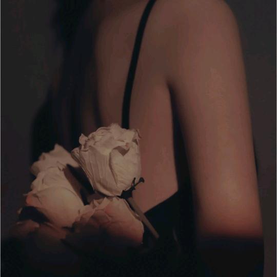 心灰意冷🌸