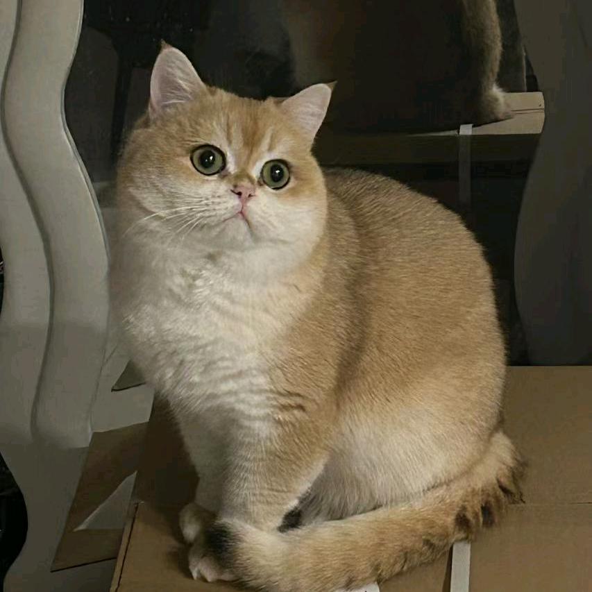 Jzhjzh