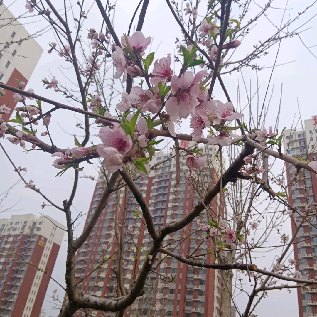 钟爱一生
