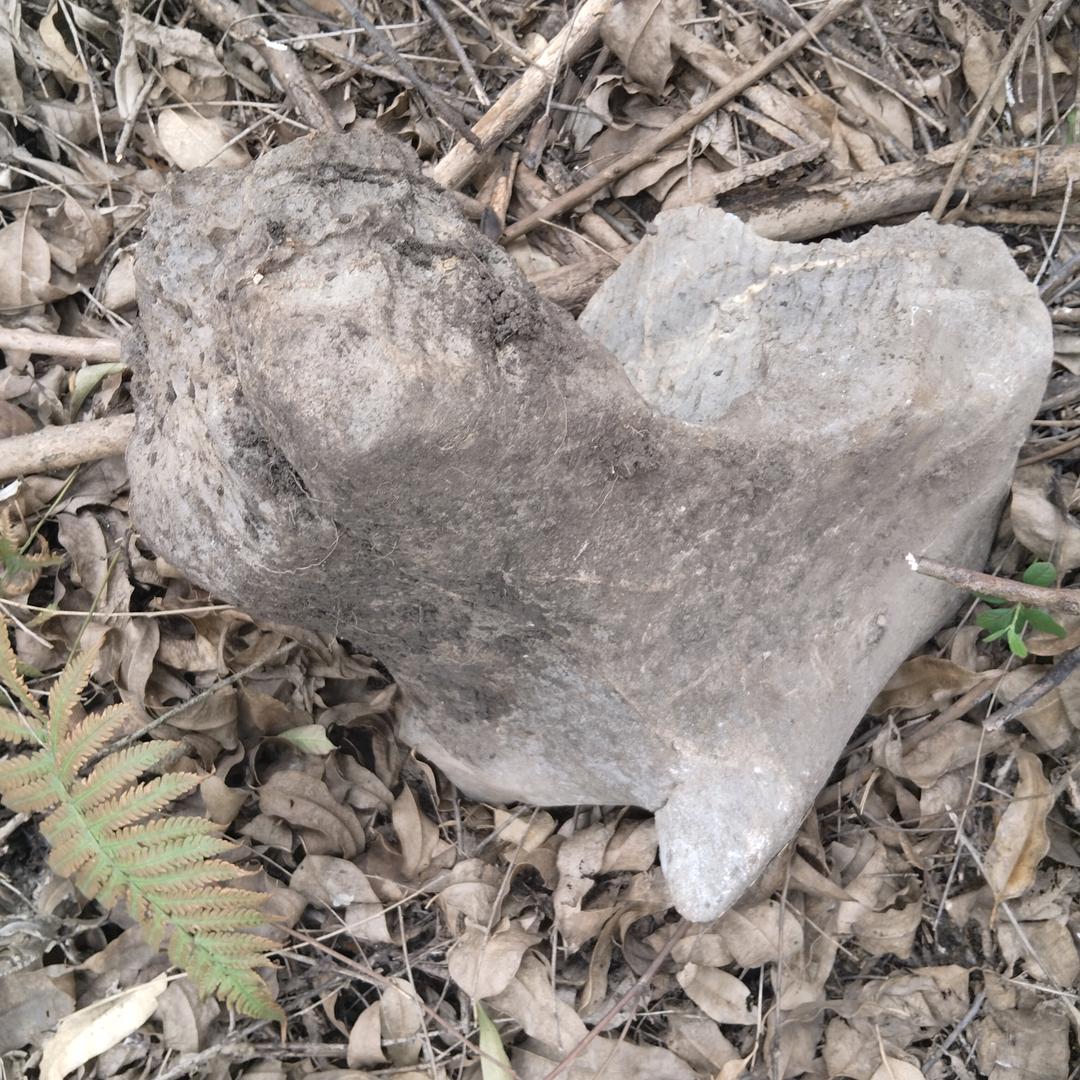 一二三跟着我跑