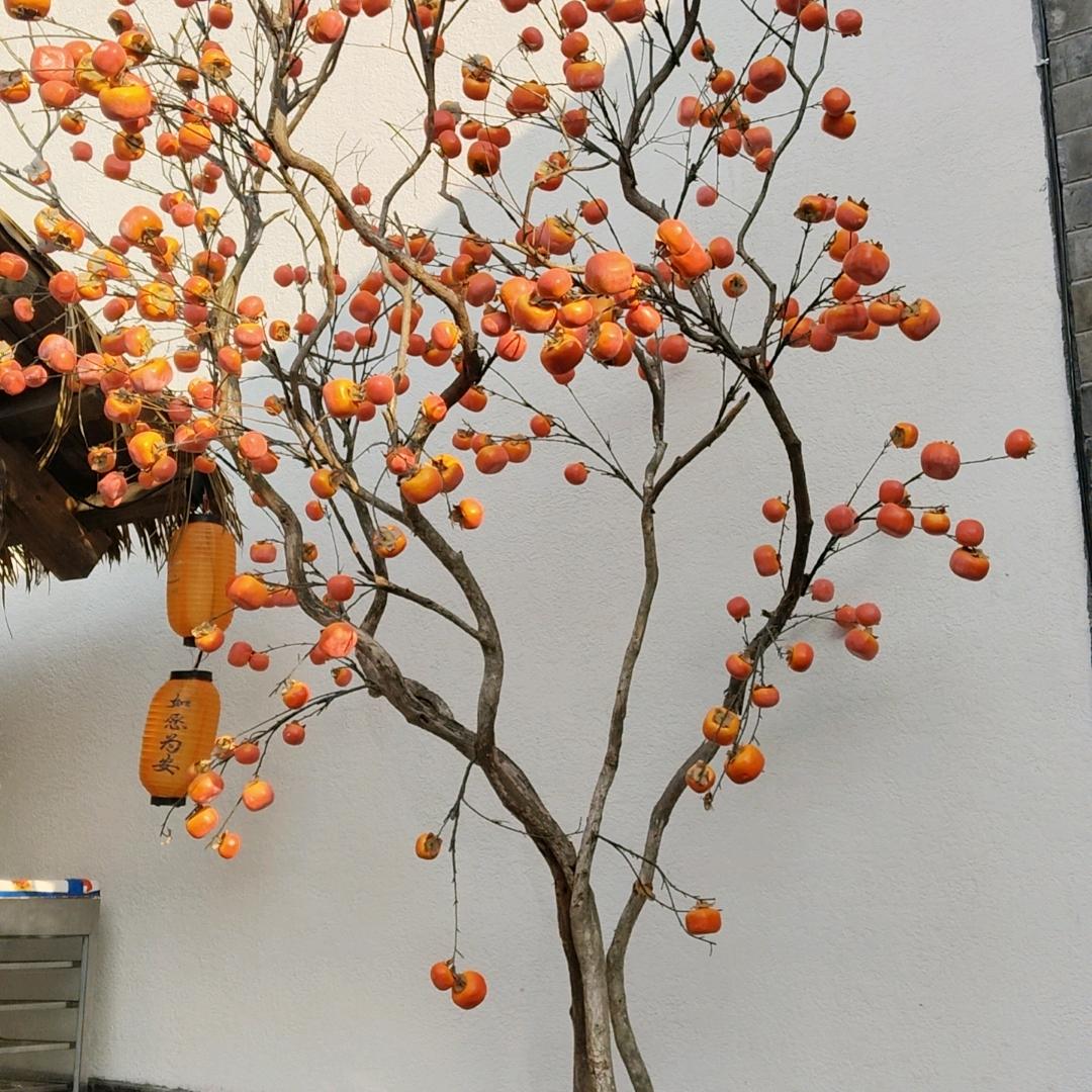 顺遂无忧