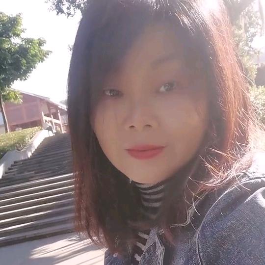 梧桐树的土