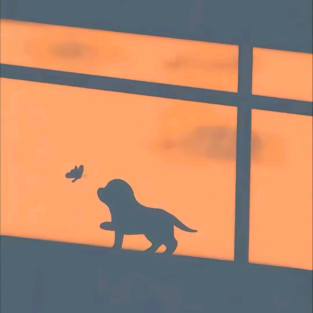 帆帆跑刀（三角洲行动）