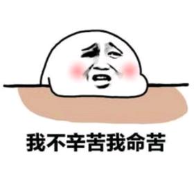 LV1小渣渣