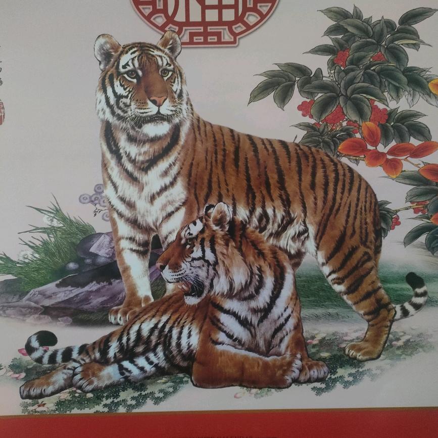 发财虎