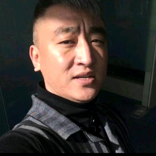 鹰歌