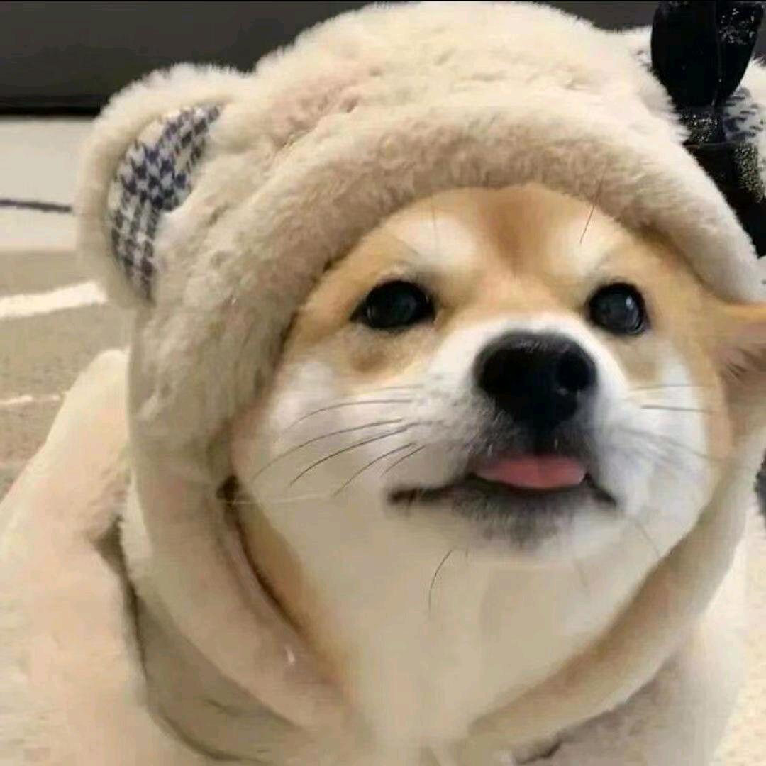 心凉i