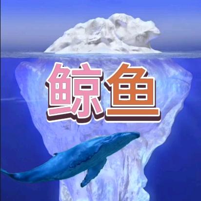 鲸鱼🐳影视