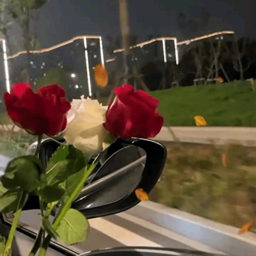 不坚强懦弱给谁看👏👏