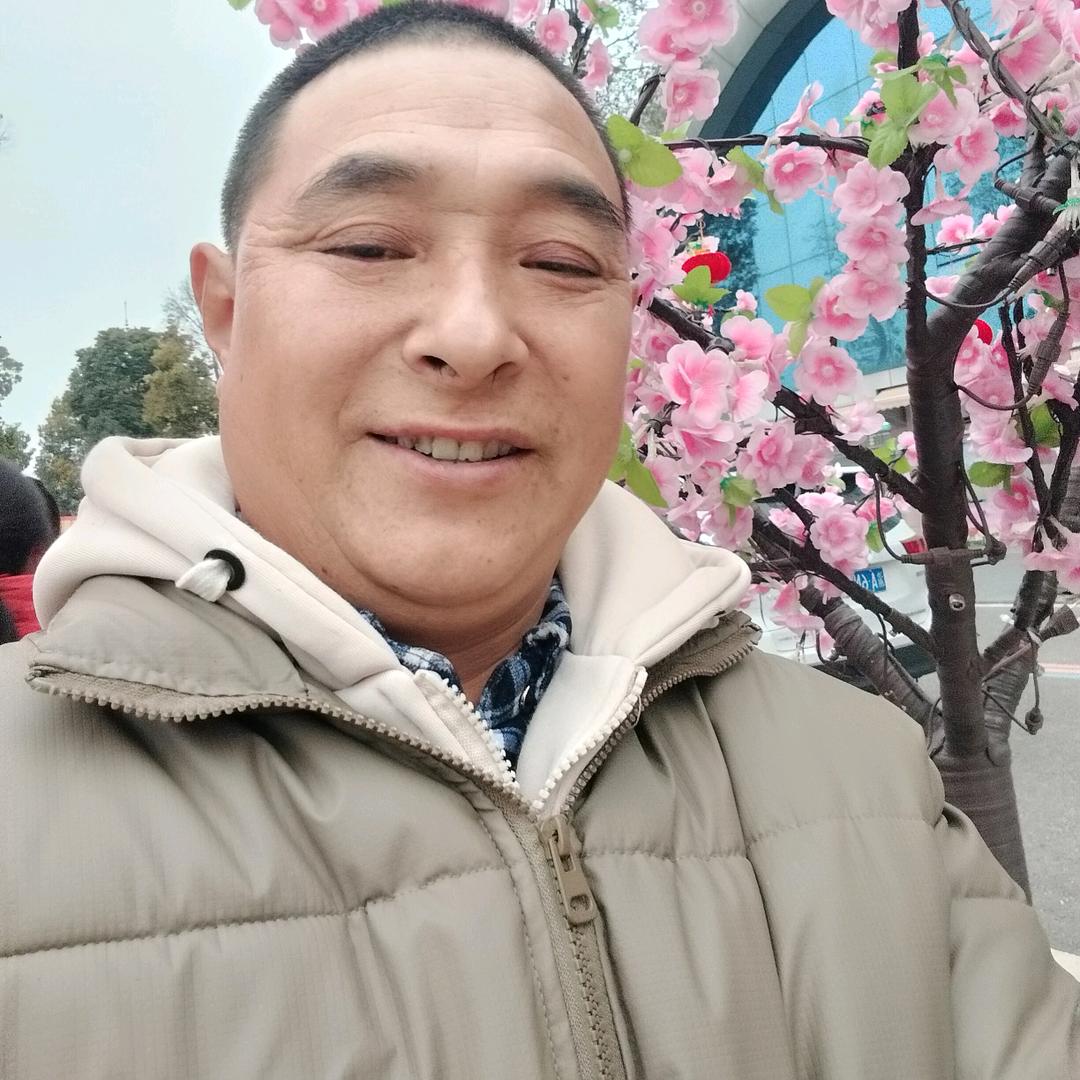 真心实意