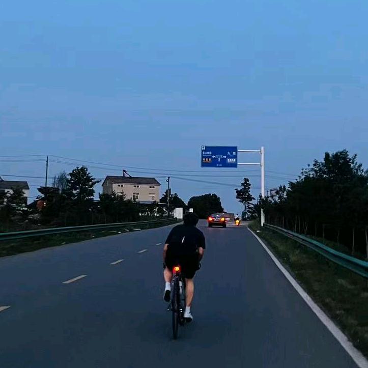 甘zha