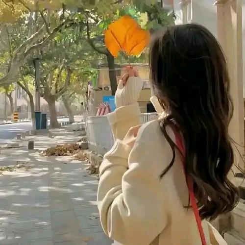 柿柿顺意🌺
