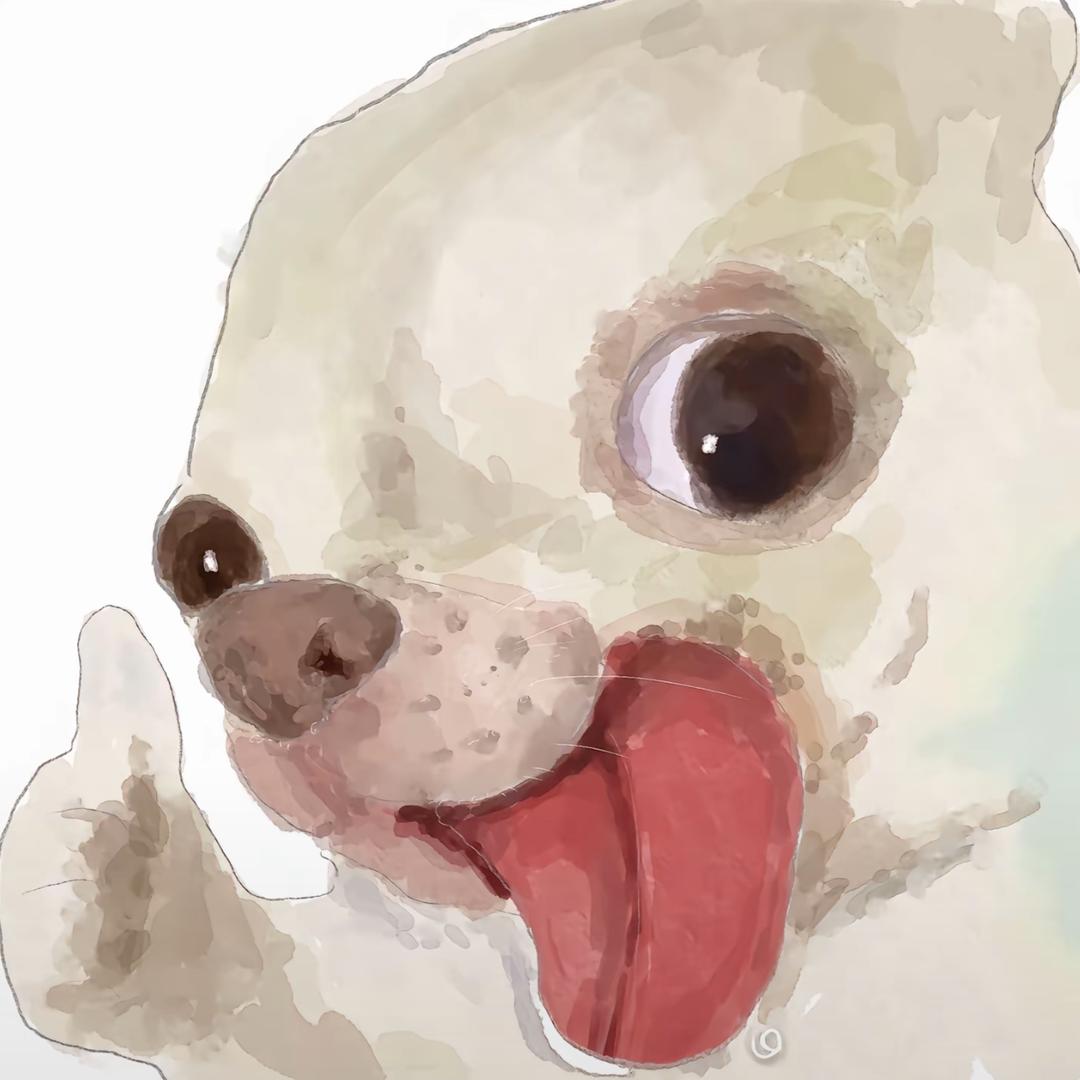 Lvih