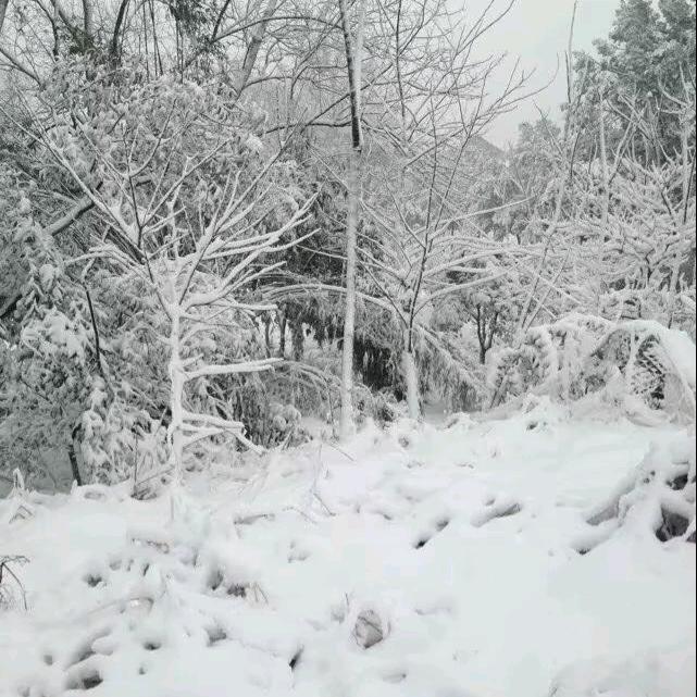 飛翔