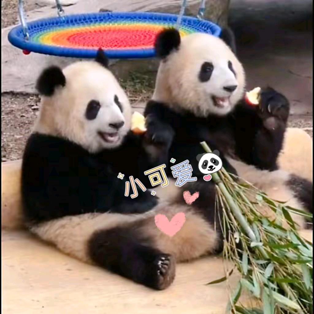 学可可爱爱的一天